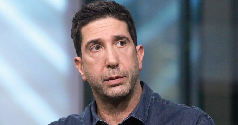 David Schwimmer speak languages fluently