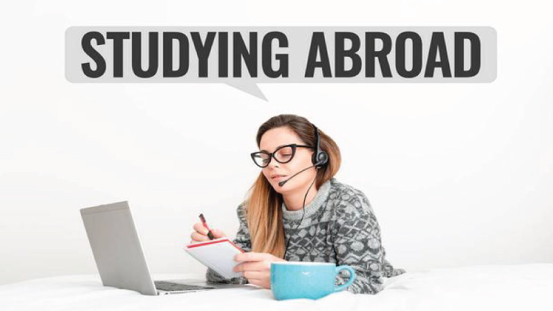 Study Abroad Websites
