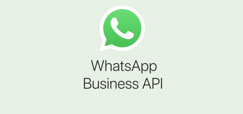 whatsapp business api