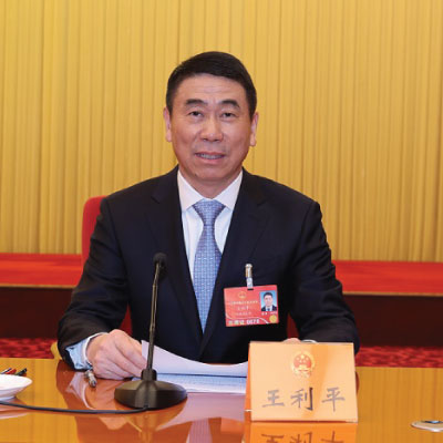 Wang Liping