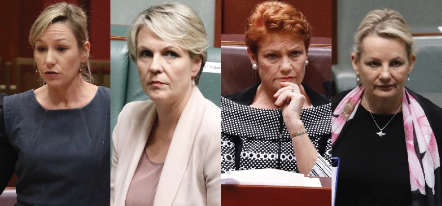 Richest Australian Female Politician